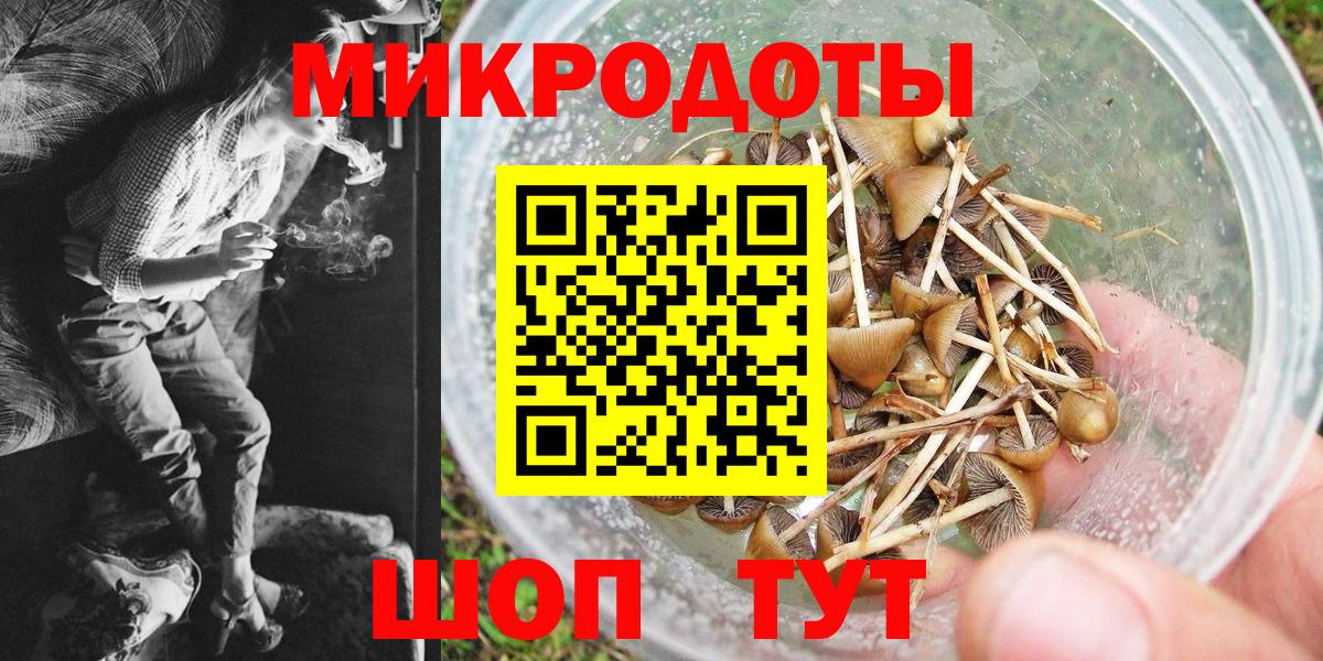 Ростов-на-Дону  Псилоцибиновые грибы мицелий  продажа наркотиков  Вход с VPN  Галлюциногенные грибы мухоморы 